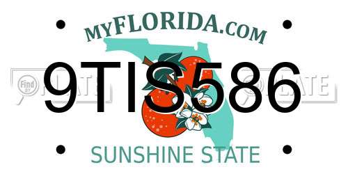 9TIS586 Florida License Plate