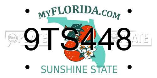 9TS448 Florida License Plate