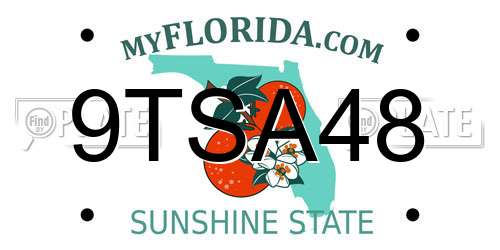 9TSA48 Florida License Plate