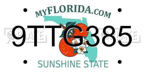 9TTG385 Florida License Plate