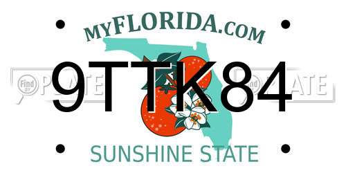 9TTK84 Florida License Plate