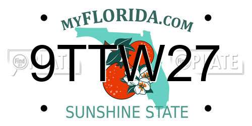 9TTW27 Florida License Plate