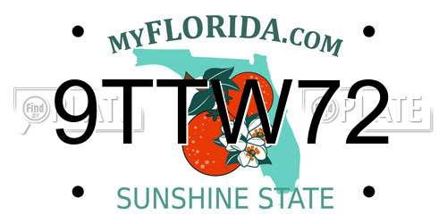9TTW72 Florida License Plate