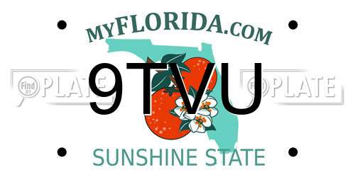 9TVU Florida License Plate