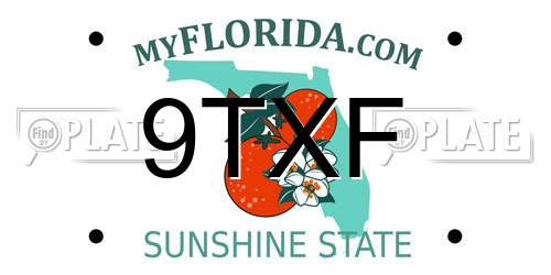 9TXF Florida License Plate