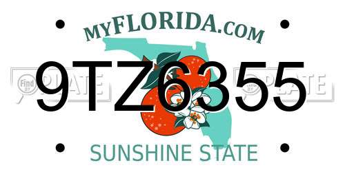 9TZ6355 Florida License Plate
