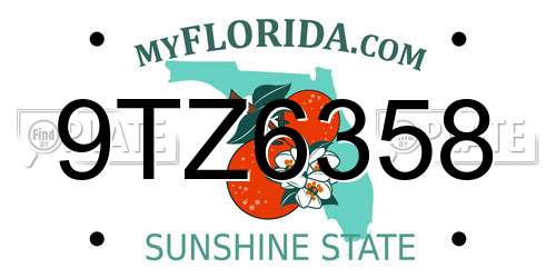 9TZ6358 Florida License Plate