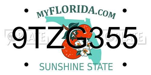 9TZG355 Florida License Plate