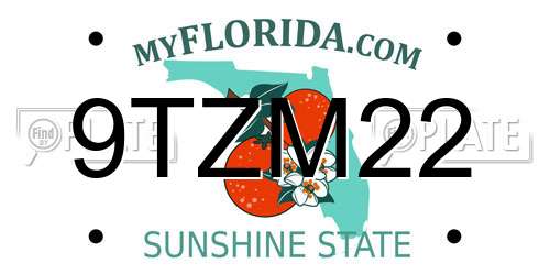 9TZM22 Florida License Plate