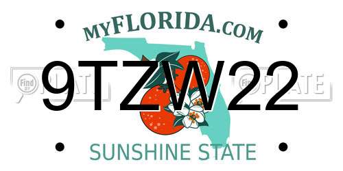 9TZW22 Florida License Plate