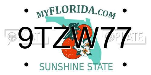 9TZW77 Florida License Plate