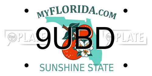 9UBD Florida License Plate