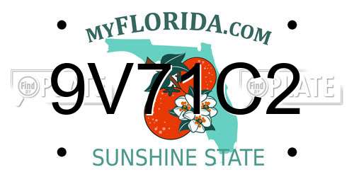 9V71C2 Florida License Plate
