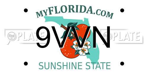 9VVN Florida License Plate