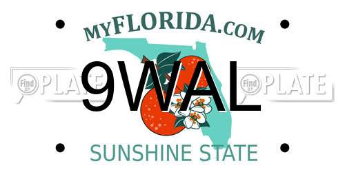9WAL Florida License Plate