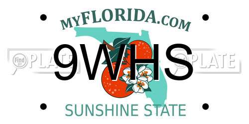 9WHS Florida License Plate