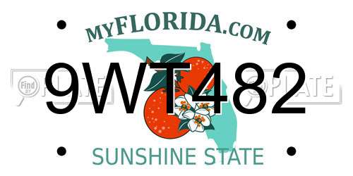 9WT482 Florida License Plate