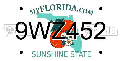 9WZ452 Florida License Plate