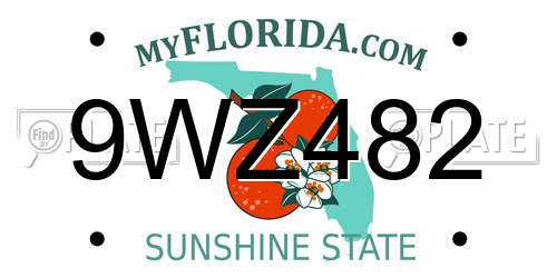 9WZ482 Florida License Plate