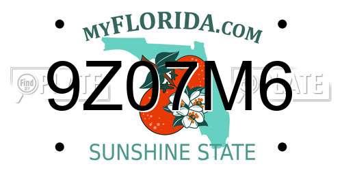 9Z07M6 Florida License Plate