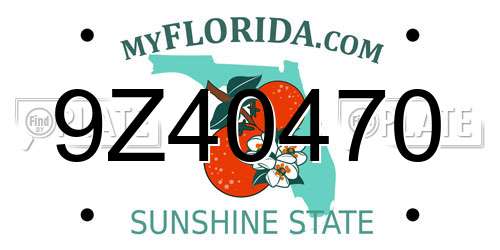 9Z40470 Florida License Plate