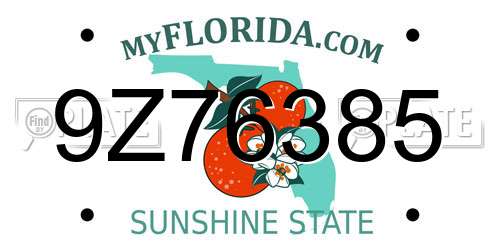 9Z76385 Florida License Plate