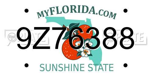 9Z76388 Florida License Plate