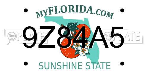 9Z84A5 Florida License Plate