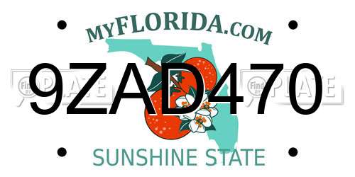 9ZAD470 Florida License Plate