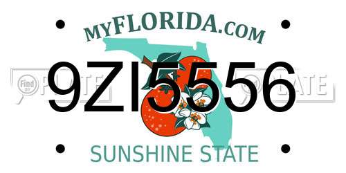 9ZI5556 Florida License Plate