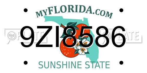 9ZI8586 Florida License Plate