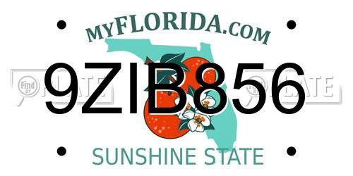 9ZIB856 Florida License Plate
