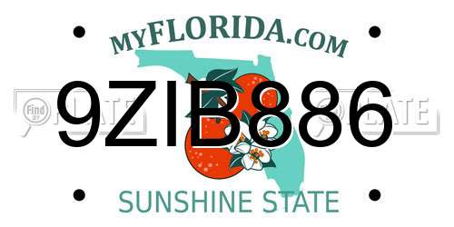 9ZIB886 Florida License Plate