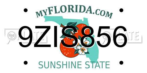 9ZIS856 Florida License Plate
