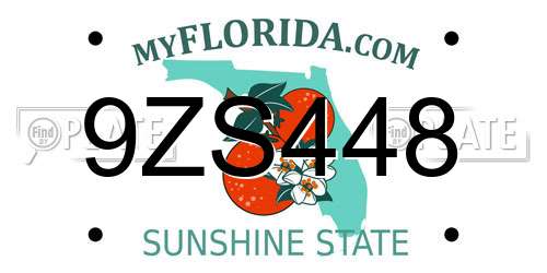 9ZS448 Florida License Plate