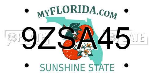 9ZSA45 Florida License Plate