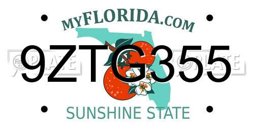 9ZTG355 Florida License Plate