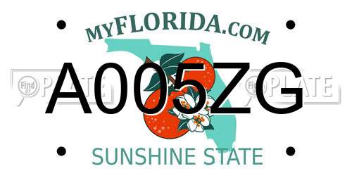 A005ZG Florida License Plate