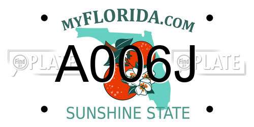 A006J Florida License Plate