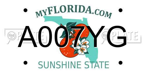 A007YG Florida License Plate