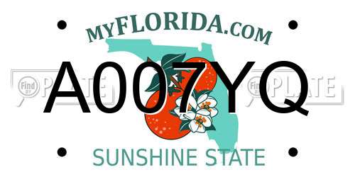 A007YQ Florida License Plate