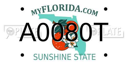 A0080T Florida License Plate