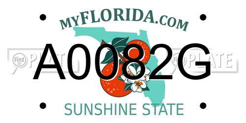 A0082G Florida License Plate