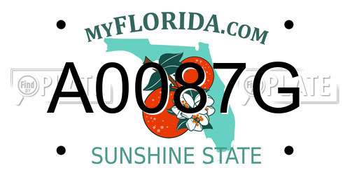 A0087G Florida License Plate