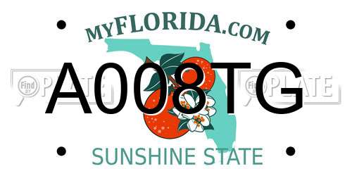 A008TG Florida License Plate