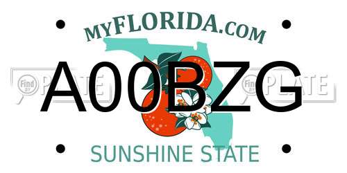 A00BZG Florida License Plate