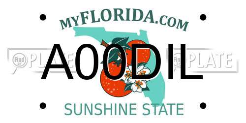 A00DIL Florida License Plate