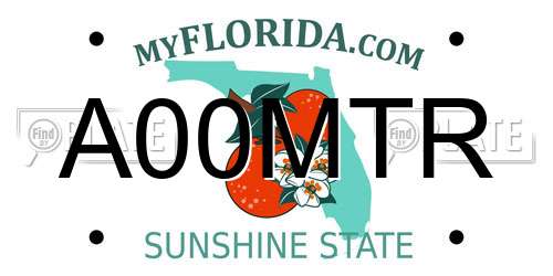 A00MTR Florida License Plate