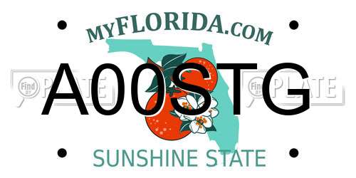 A00STG Florida License Plate