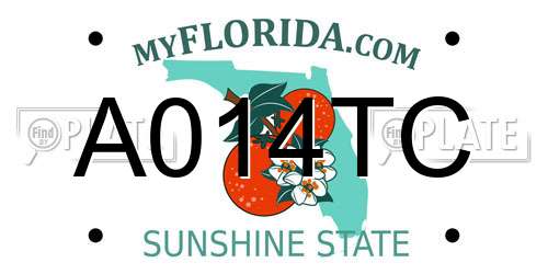 A014TC Florida License Plate